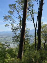 🌸 桜咲く“昇り龍”の里山  光城山