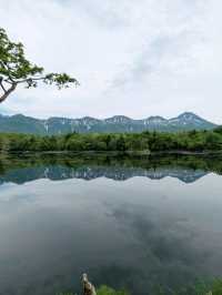 Where the Forest Breathes: Shiretoko Goko