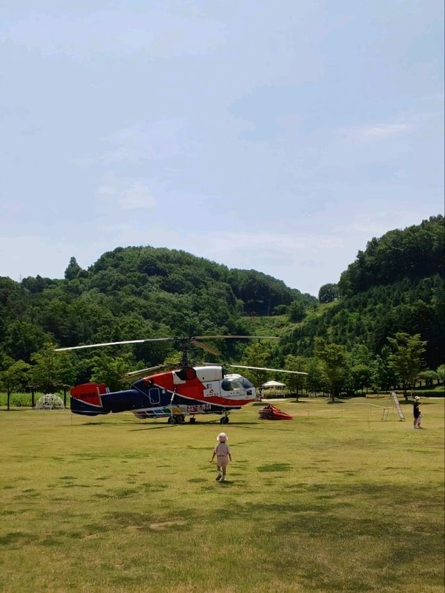 가족 나들이에 딱, 꽃길 가득 악양생태공원