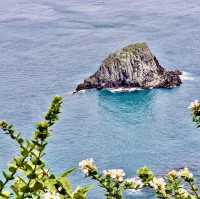基隆嶼登島看花看海去！