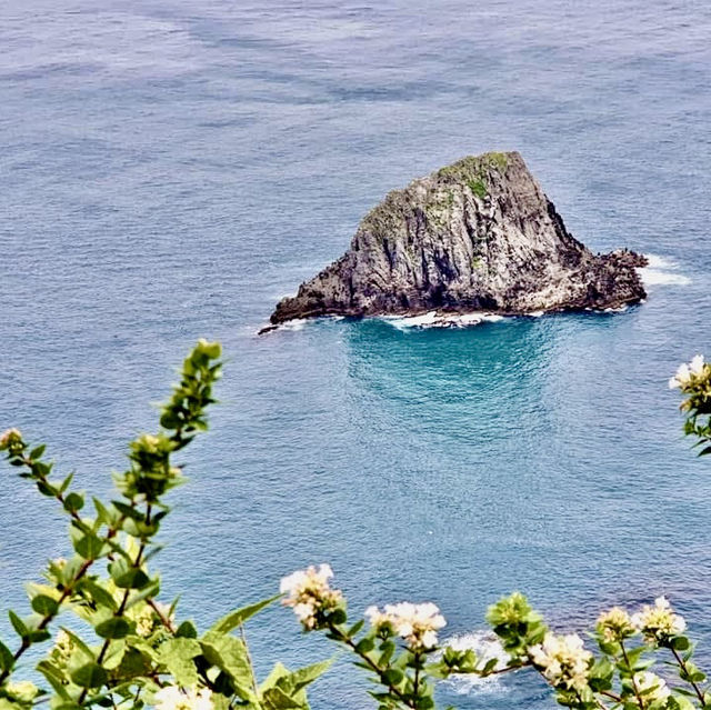 基隆嶼登島看花看海去！