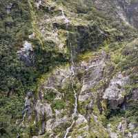 Milford Sound: The "Eighth Wonder of the World" – Is It Worth the Trip? 🤔🏞️