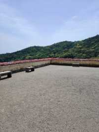 Daruma Temple - Katsuo Ji Osaka 