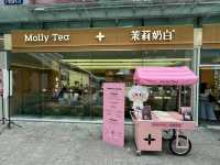 Molly Tea @ Centerpoint Siam Square – Milky Elegance in a Cup