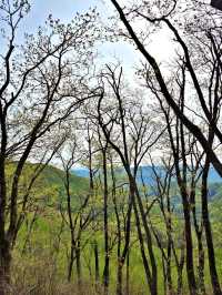 A Hidden Gem in Hongcheon