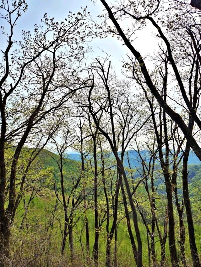 A Hidden Gem in Hongcheon