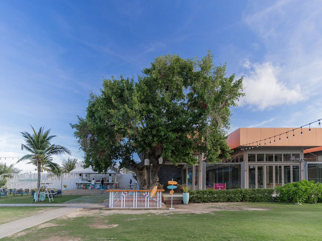 : Avani+ Hua Hin Resort 🌿