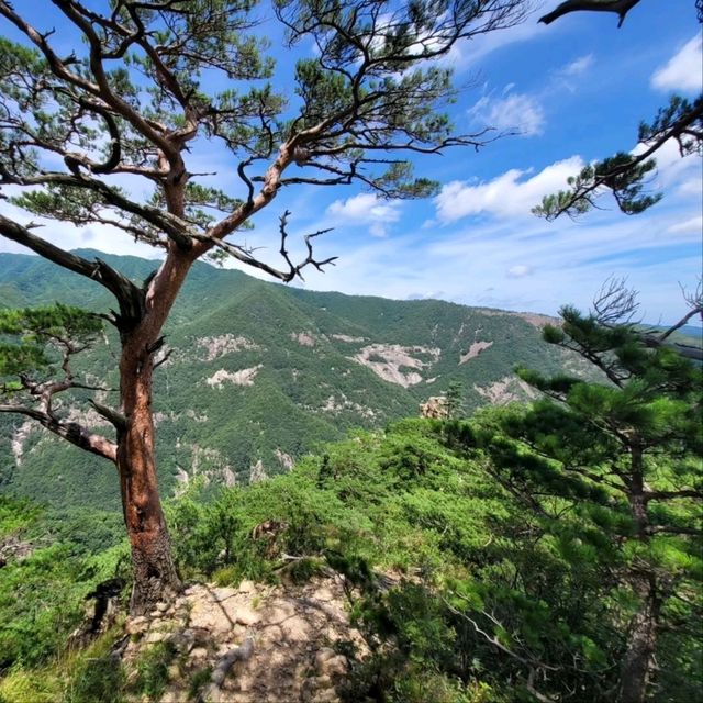 Coastal Breeze at Battle Rock