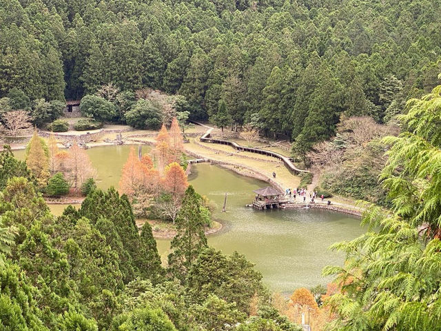 森林遊樂園區系列 PART1️⃣3️⃣