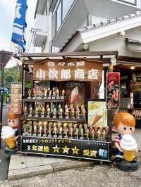 【山口】岩国に行くならここに行ってみて