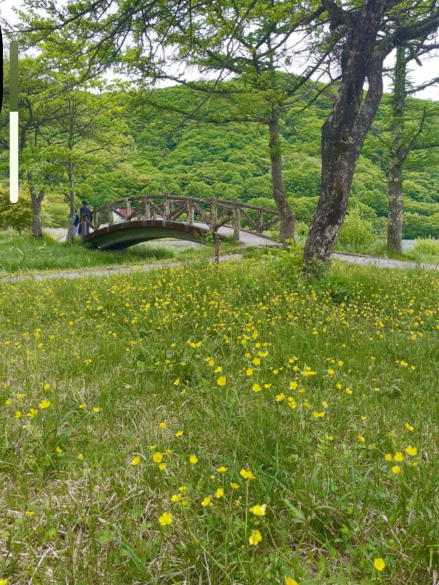 【榛名湖】高原の風と湖畔の絶景に癒されるアウトドア旅