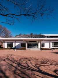 shilla millennium library