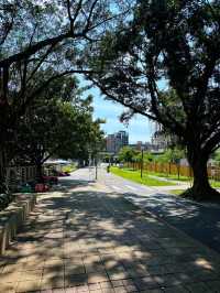 🚴‍♀️ 桃林鐵馬道：藏身虎頭山旁的森林單車路，一場綠意與時光的輕旅行