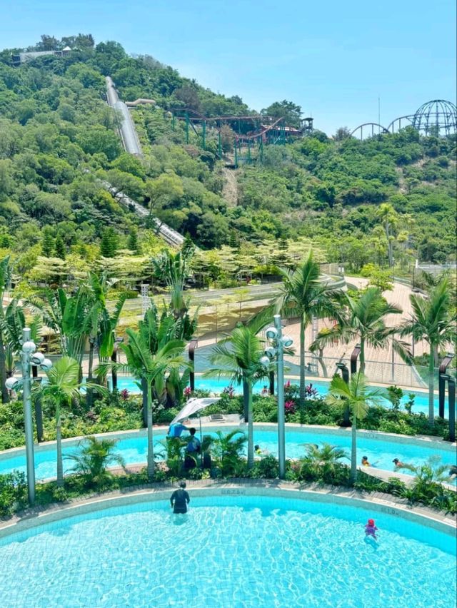 💦☀️ Make a Splash! | Ocean Park Water World Hong Kong  🇭🇰🌊