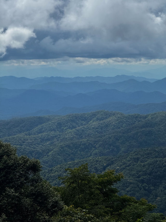 ฤดูฝนที่บ้านป่าเหมี้ยง จ.ลำปาง 🏡⛰️🌧️🌳