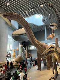 Shanghai Natural History Museum 🦁🦖🦕