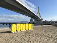 🌊 Hidden Coastal Charm – Aomori Ekimae Beach