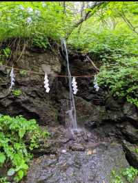 ⛩️長野・戸隠神社｜神秘の森に包まれた歴史あるパワースポット