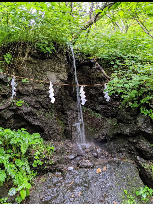 ⛩️長野・戸隠神社｜神秘の森に包まれた歴史あるパワースポット