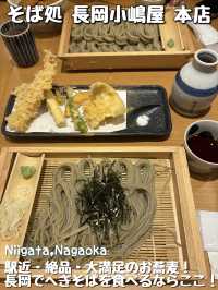【新潟🌾】長岡駅前の人気へぎそばを堪能🥢