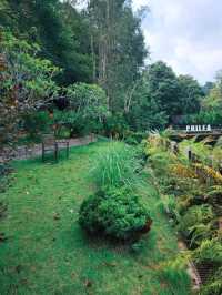 🌿✨ Philea Resort & Spa Melaka – Where Nature Meets Comfort! 🏡🌳