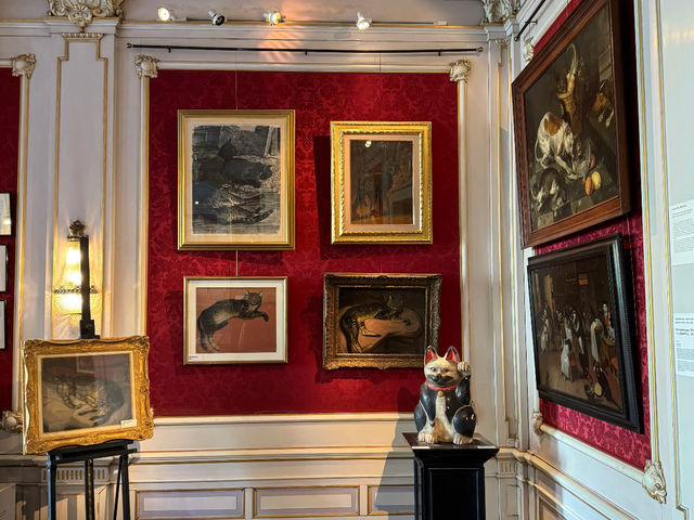 An Unconventional "Cat and Mouse" Tour in Amsterdam! 🐭🐱