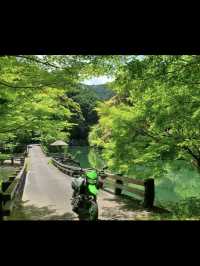 🌳三重｜真手公園（多気郡大台町）