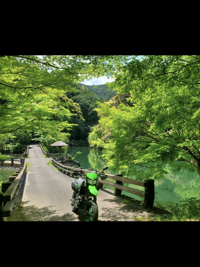 🌳三重｜真手公園（多気郡大台町）