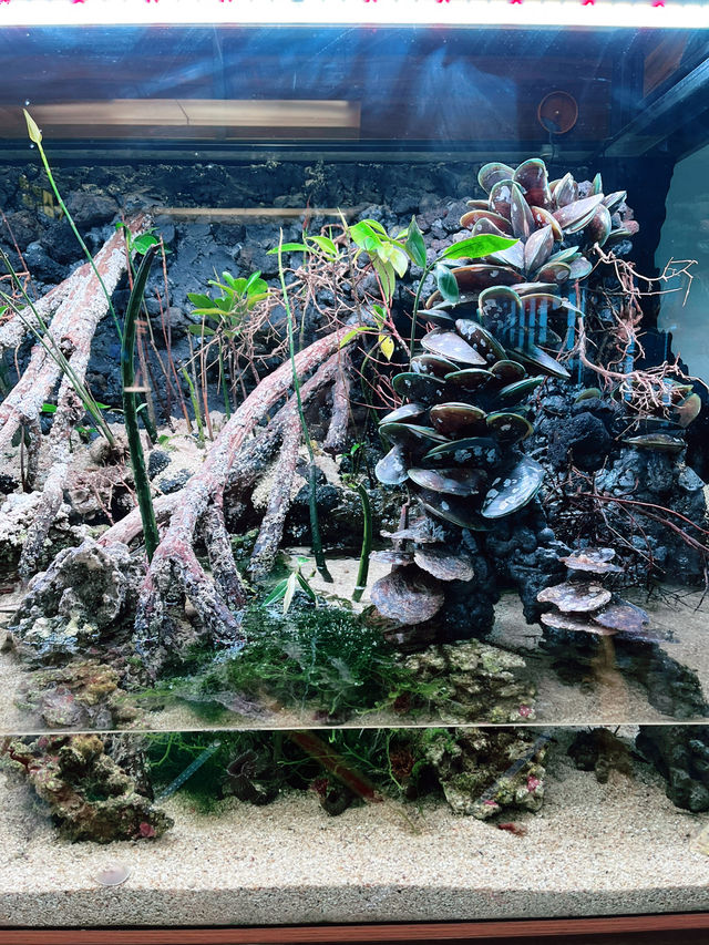 “The Enchanted Garden at Changi T2: A Serene Escape in the Sky”