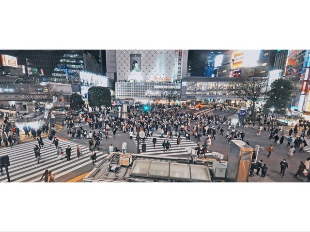 Magic, Blossoms & Organized Chaos — Tokyo’s Unforgettable Energy