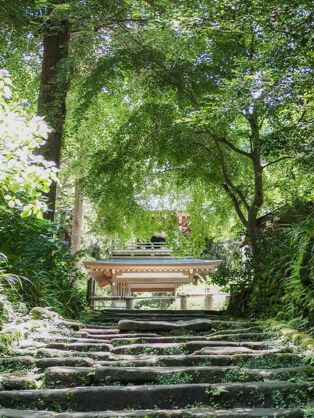 【神奈川】日帰りたび