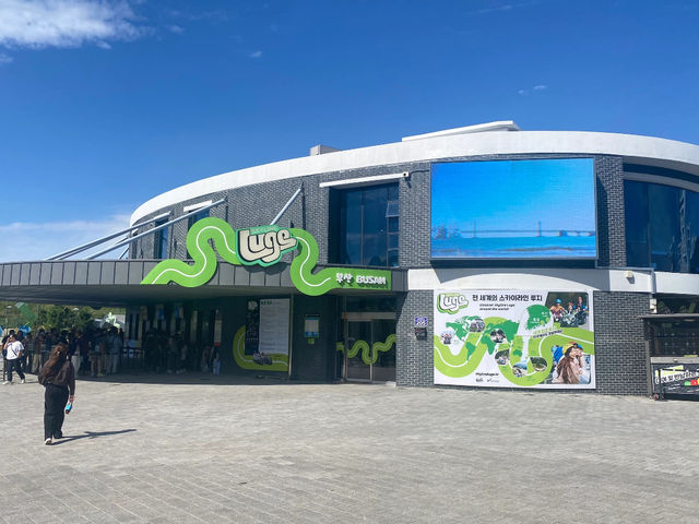 Skyline Luge Busan: The Perfect Blend of Speed and Fun! 🎢🏎️