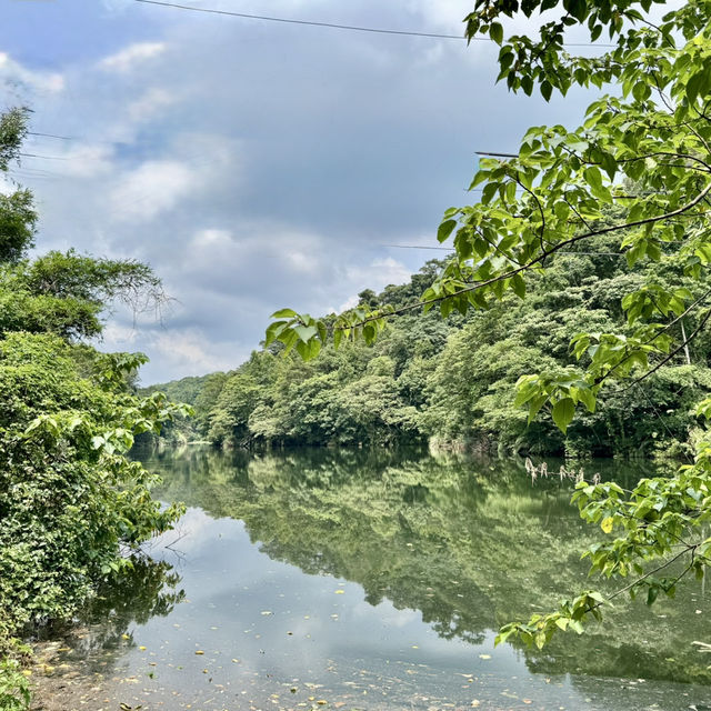 石龜坑山古道巡禮