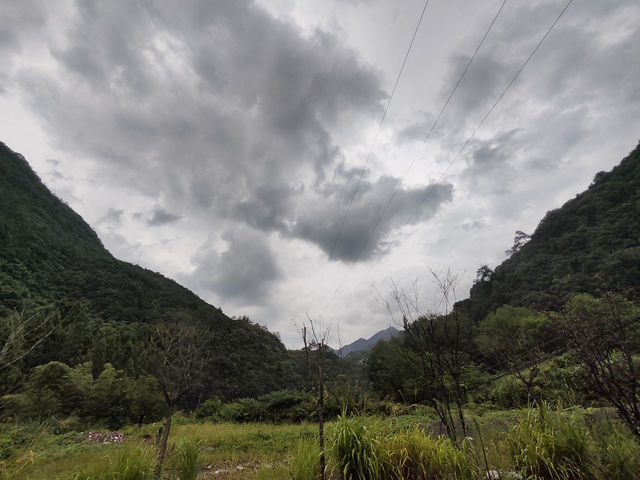 千島湖景區（5A景區）（需自駕）