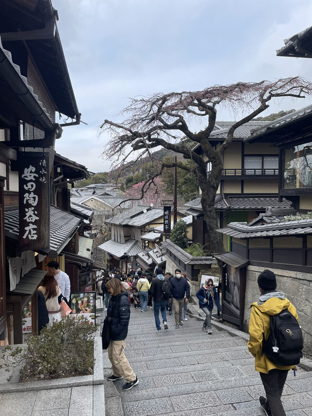 【京都を見て、歩いて、食べて】