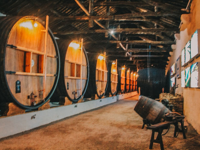 Sipping History with a View – My Visit to Taylor’s Port in Porto