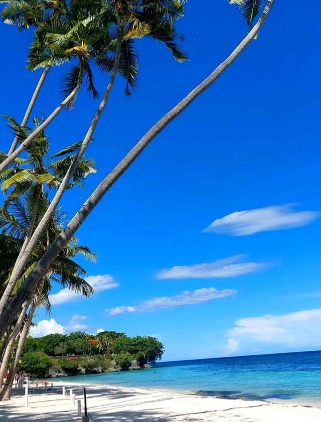 Sun and Serenity at Alona Beach