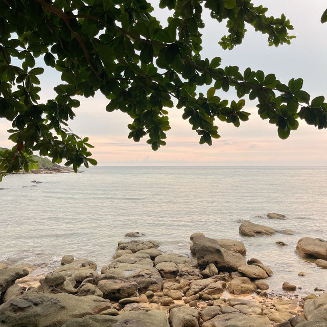 𝗛𝗶𝗱𝗲𝗼𝘂𝘁 𝗞𝗼𝗵 𝗞𝗼𝗼𝗱 สวยมาก