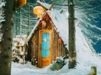 ให้อาหารกวางเรนเดียร์ China Snow Town 