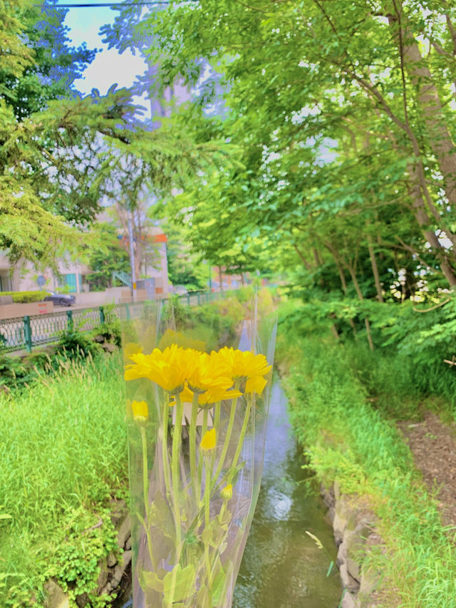 삿포로 3일차! 감성전차타고 여유로운 오전 일정🌻🚟