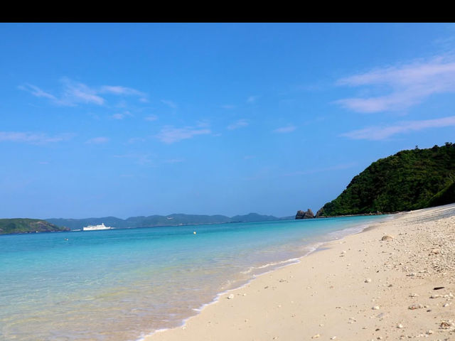 【海の楽園へダイブ！】奇跡の透明度「慶良間諸島」で感動体験