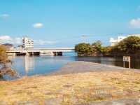 A Convenient Green Oasis Near Jeju City