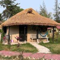 Sundarbans – Where the Forest Breathes with the Tides 🌿🐅