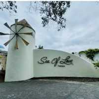 Sea of love 