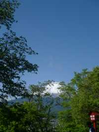 🌸 富士山下的靜謐時光｜新倉富士淺間神社・忠靈塔 🗻⛩️