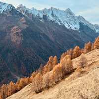 Val d'Hérens: Alpine Wildflower Trails & 4,000m Peaks Without the Crowds