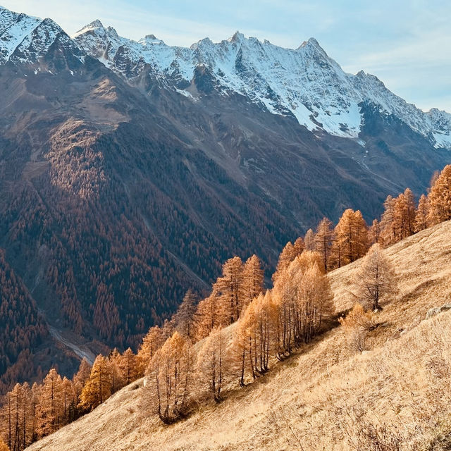 Val d'Hérens: Alpine Wildflower Trails & 4,000m Peaks Without the Crowds