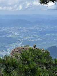 中國十大名山：安徽黃山一日遊 