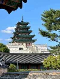 Explore Seoul City – Where Tradition Meets Technology