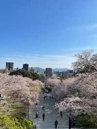 Spring in Fukuoka